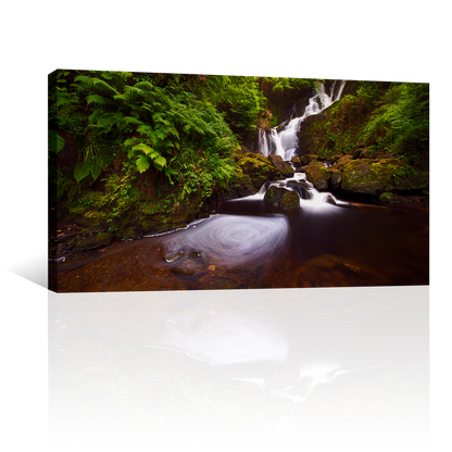 Cascada En Bosque