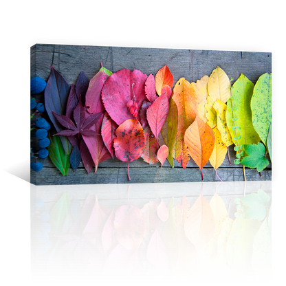 Hojas De Colores