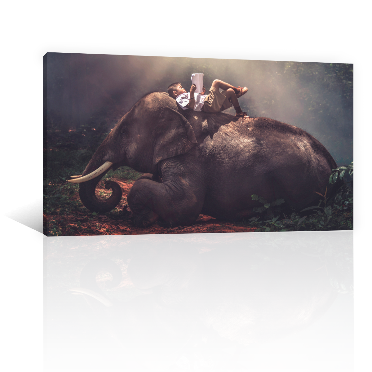 Niño Sobre Elefante