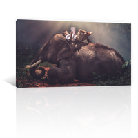 Niño Sobre Elefante