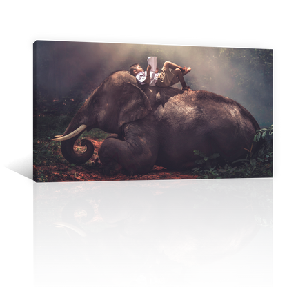 Niño Sobre Elefante