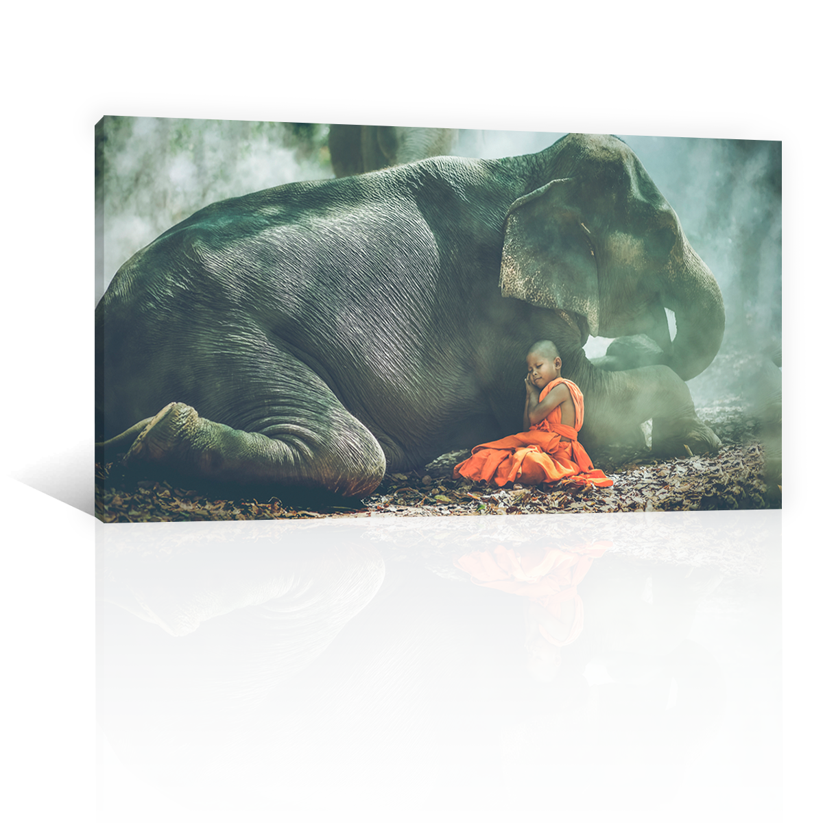 Niño Y Elefante Acostados