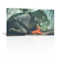 Niño Y Elefante Acostados