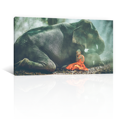 Niño Y Elefante Acostados