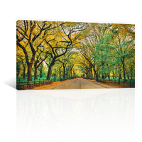 Central Nueva york