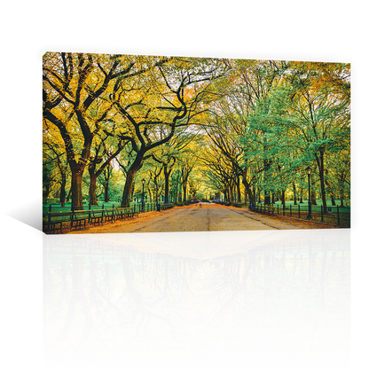 Central Nueva york