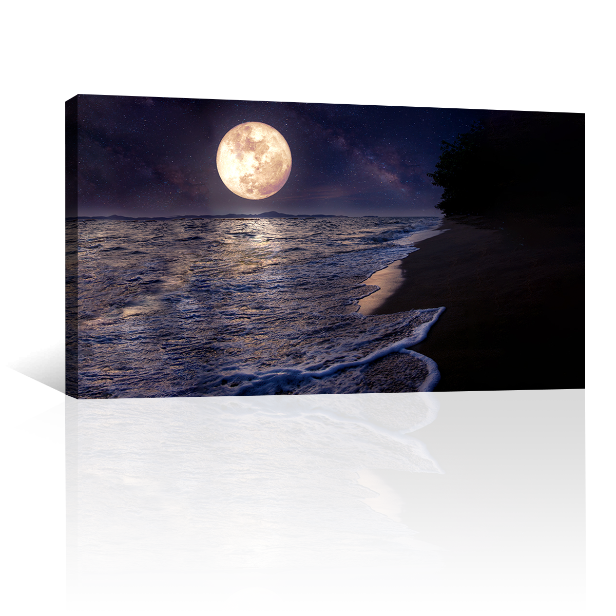 Mar Luna Llena Luz