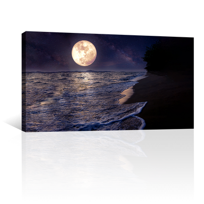 Mar Luna Llena Luz