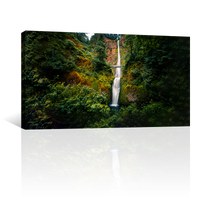 Puente Entre Cascada