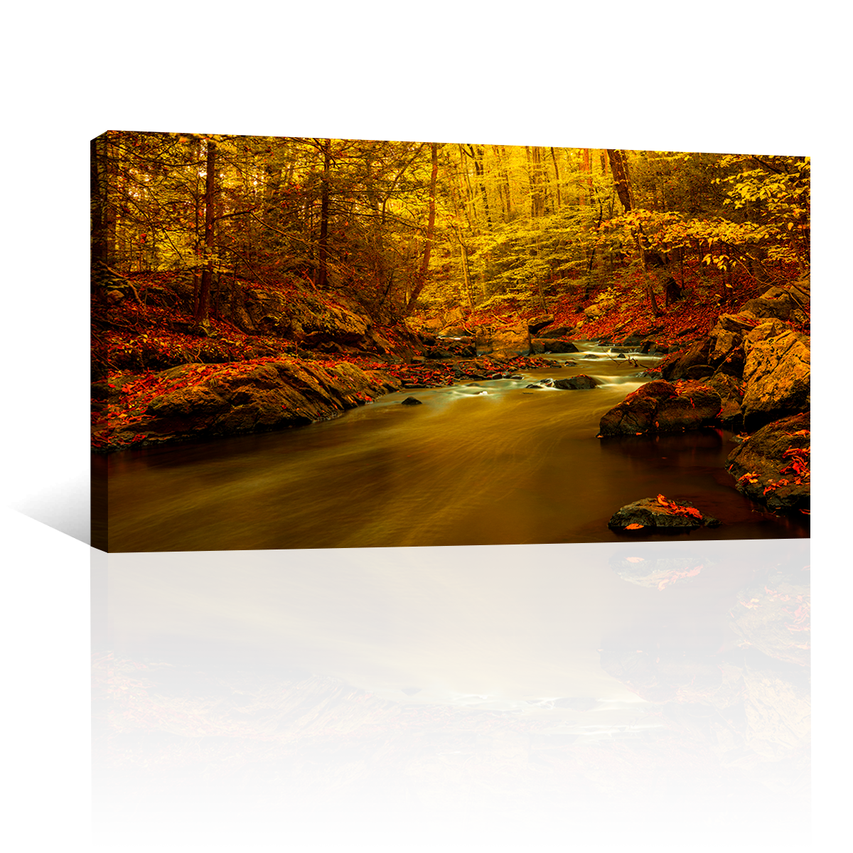 Agua En Otoño