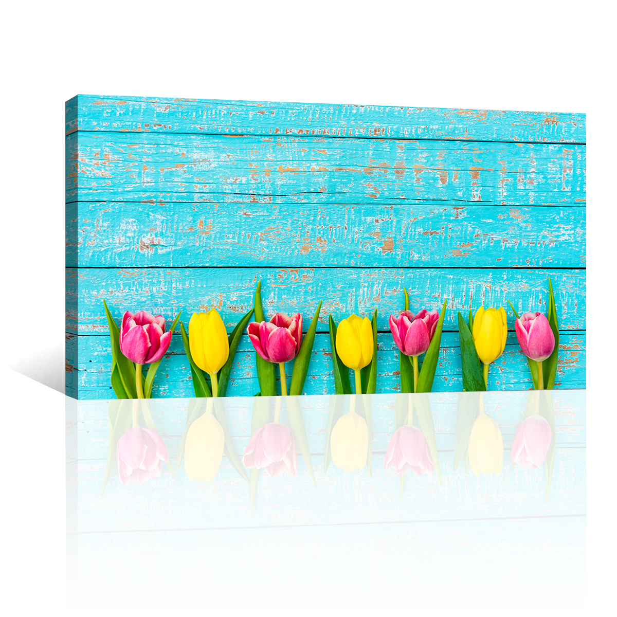 Tulipanes Colores