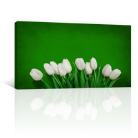Tulipanes En Color Blanco