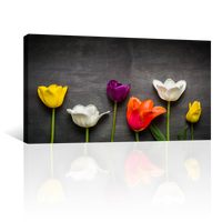 Tulipanes Negro