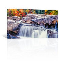 Otoño Rio Swift