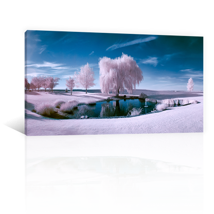 Bosque De Hielo Con Lago