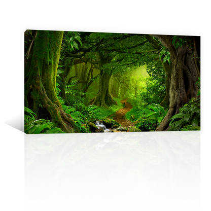 Bosque y Selva Tropical