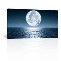 Playa Mar Luna Llena