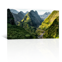 Montañas Rio Y Arboles