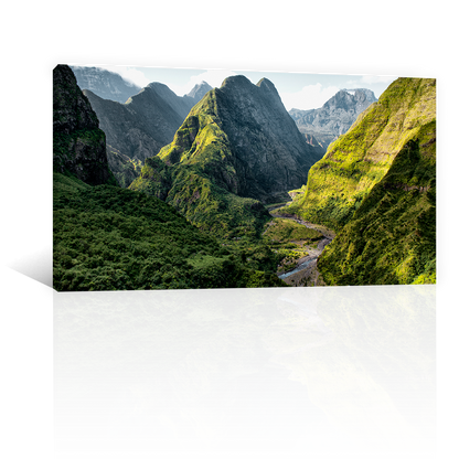 Montañas Rio Y Arboles