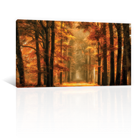 Bosque Sendero De Otoño