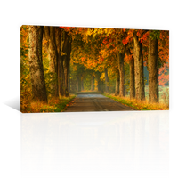 Arboles Rurales