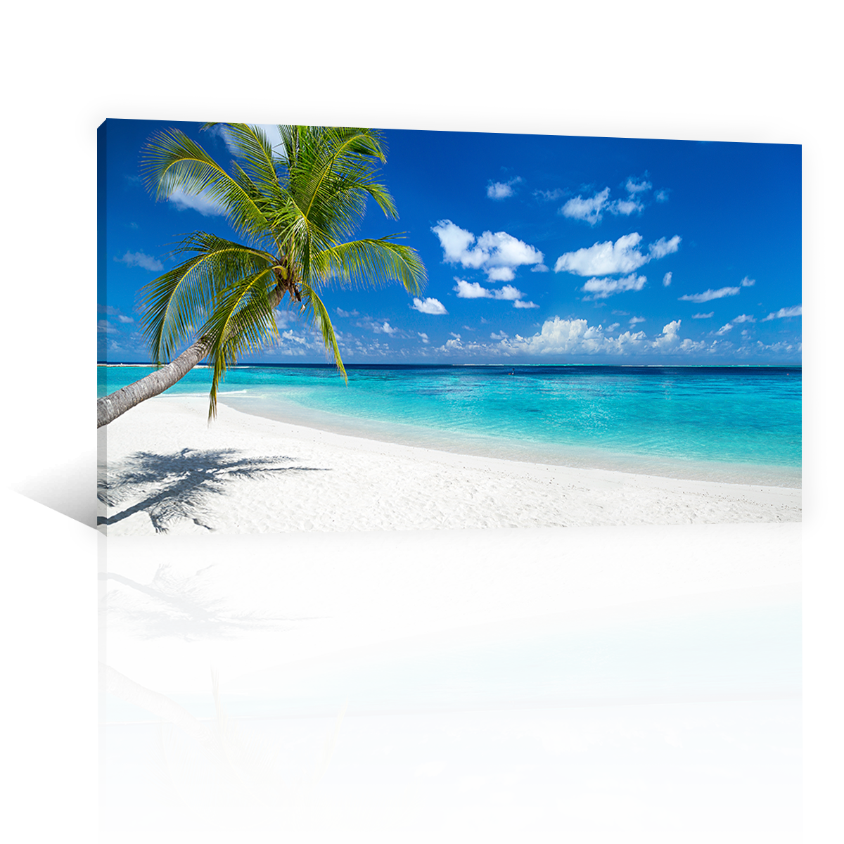 Playa Paraiso Tropical