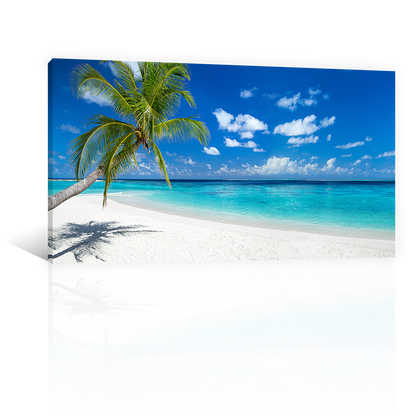 Playa Paraiso Tropical