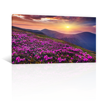 Bosque De Flores Moradas