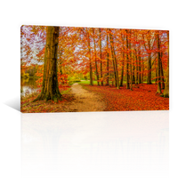 Bosque Y Hojas De Otoño