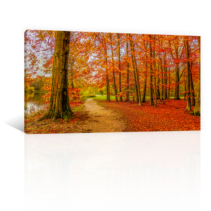 Bosque Y Hojas De Otoño
