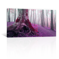 Bosque Viejo En Morado