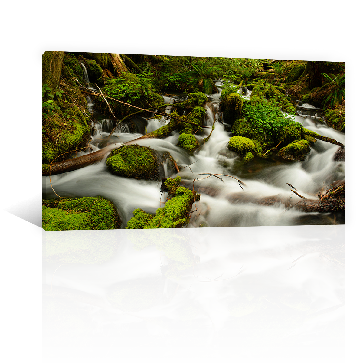 Rio Rapido Rocas Verdes