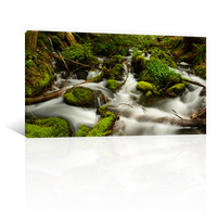 Rio Rapido Rocas Verdes