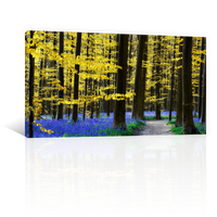 Bosque De Jacintos Lilas