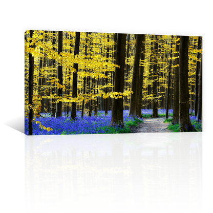 Bosque De Jacintos Lilas