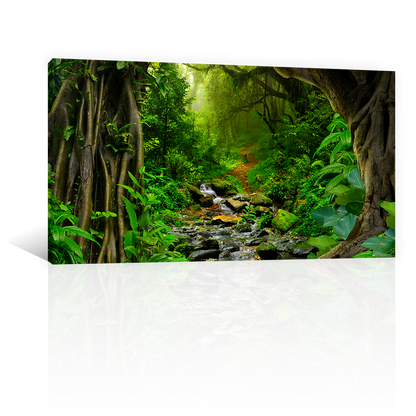 Bosque Tropical