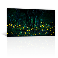 Bosque Luciernaga