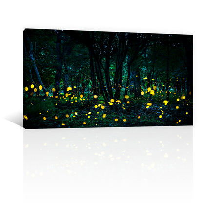 Bosque Luciernaga