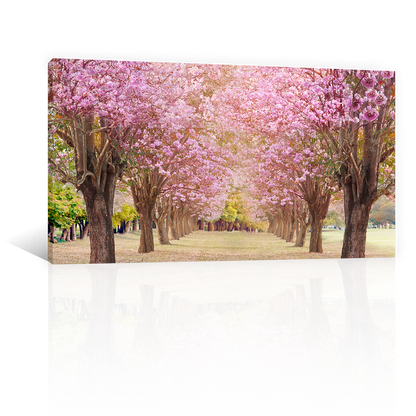 Bosque De Cerezos Rosas