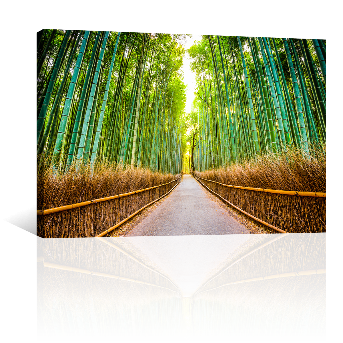 Bamboo Bosque