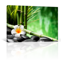 Bambu Y Flor Frangipani