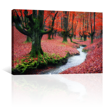 Bosque Corriente
