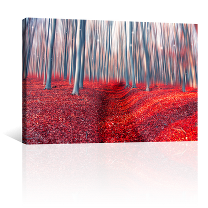 Bosque Encantado