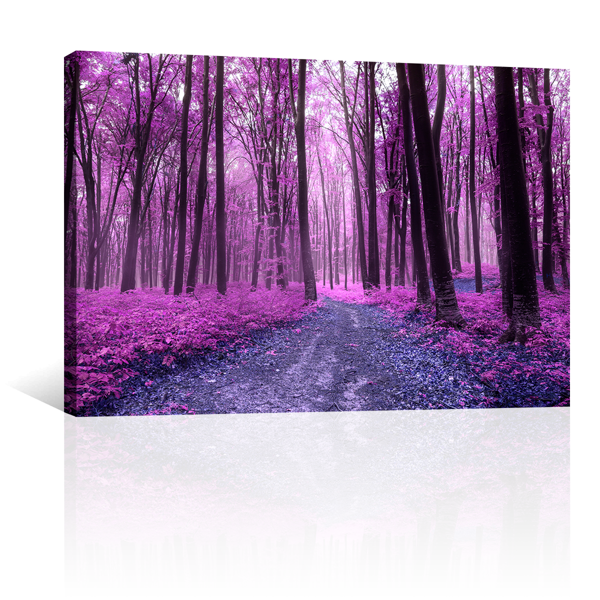 Bosque Magico