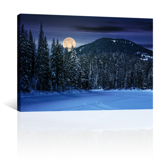 Bosque Noche Nieve Luna