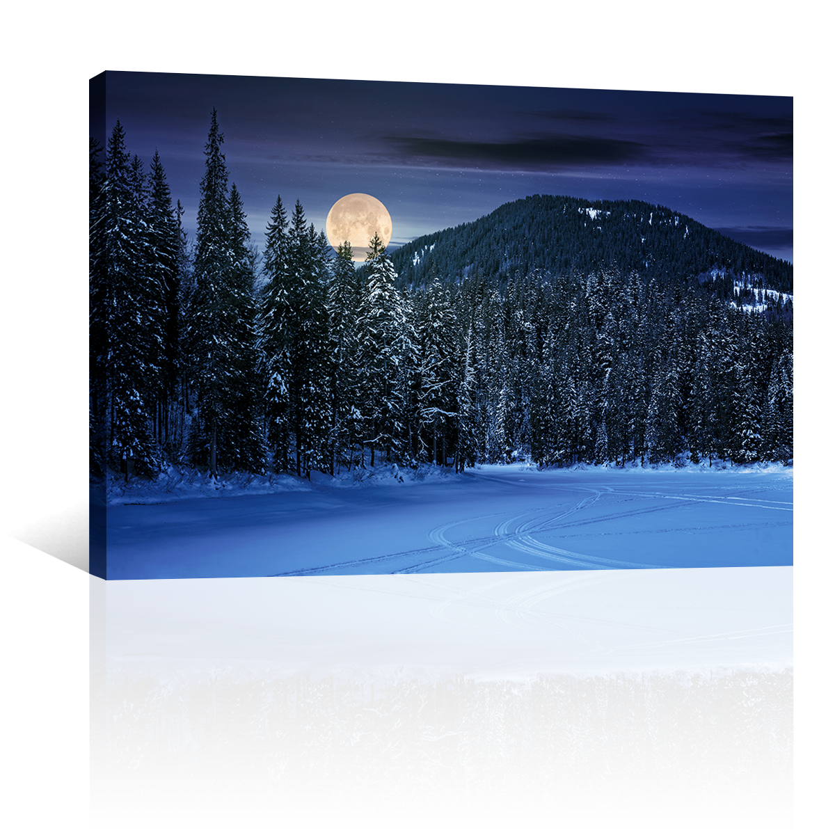 Bosque Noche Nieve Luna