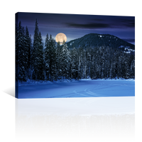 Bosque Noche Nieve Luna