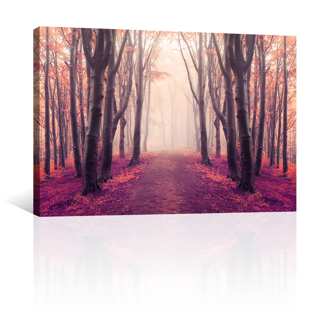 Bosque Simetrico
