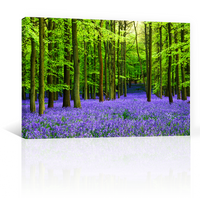 Bosque Vibrante