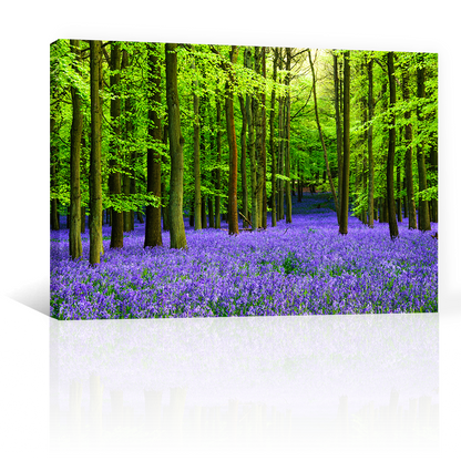 Bosque Vibrante